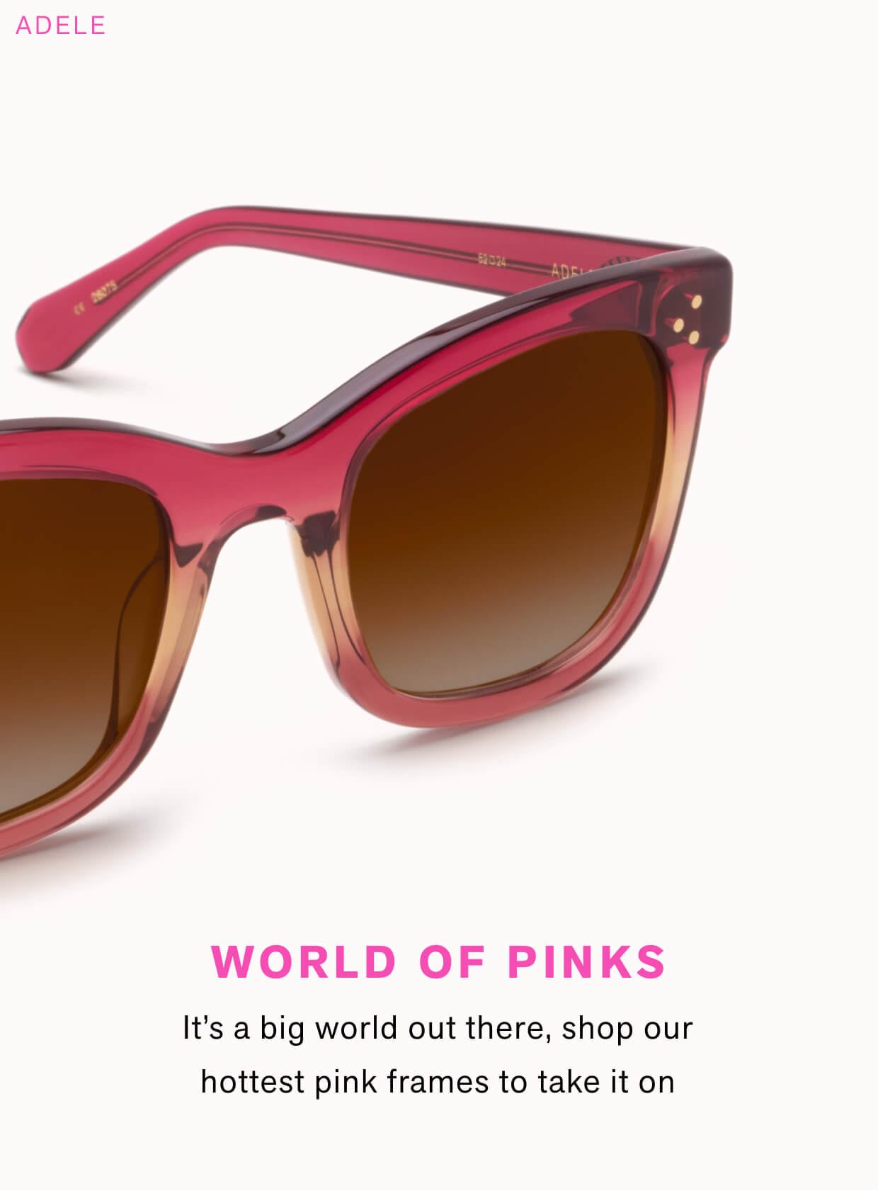 World of Pinks  It's a big world out there, shop our hottest pink frames to take it on