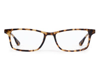 MORGAN | Nikko Tortoise