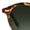 ST. LOUIS CLASSICS  Tuscan Tortoise 18K Polarized Swatch